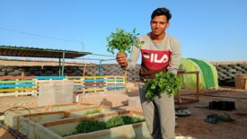 01_Mohamed Salem_Mohamed Ali.jpg